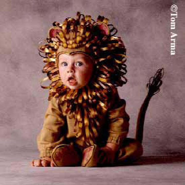 bebe Lion-humourenvrac